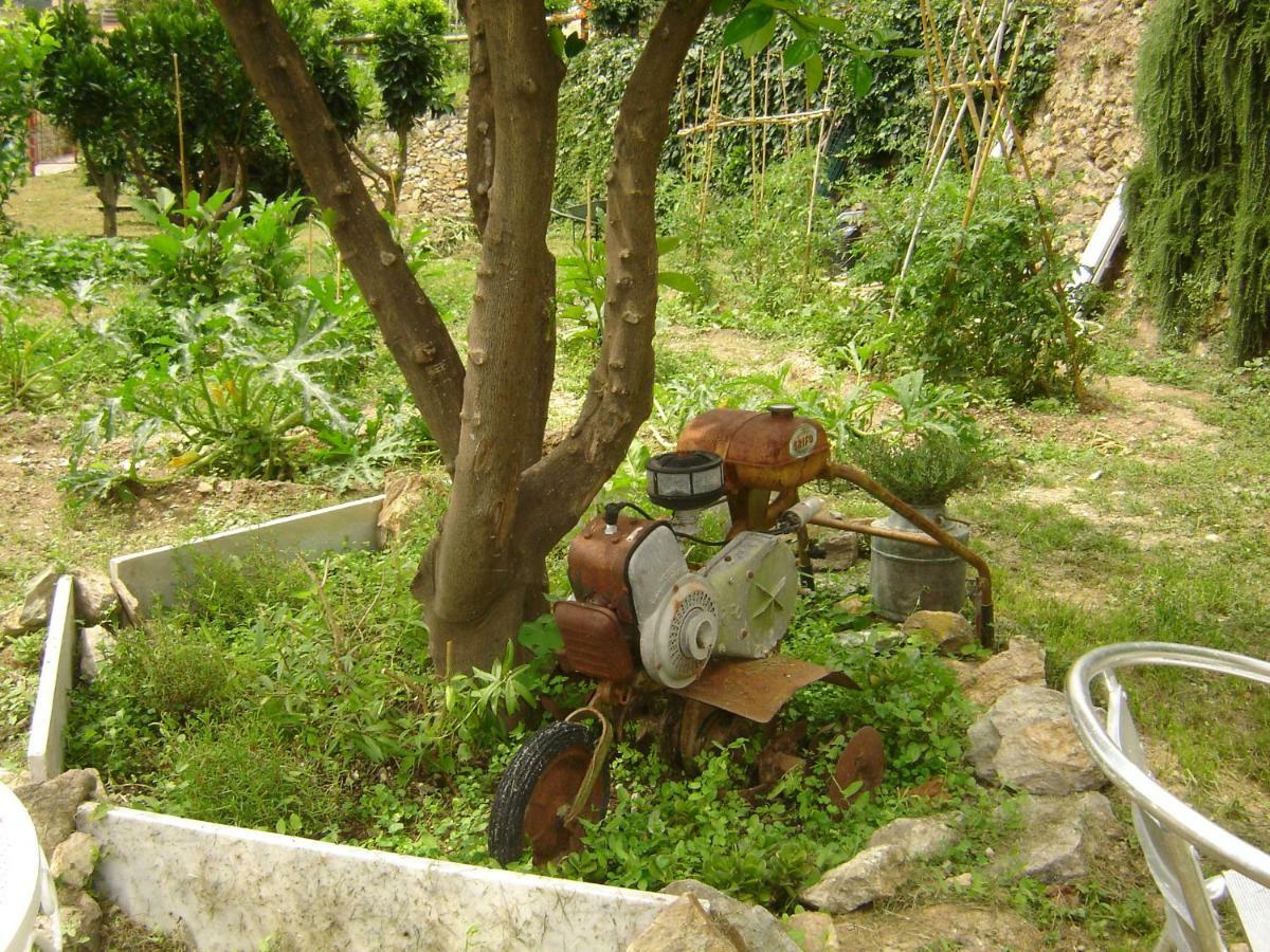La Dolce Vita B&B Noli Luaran gambar